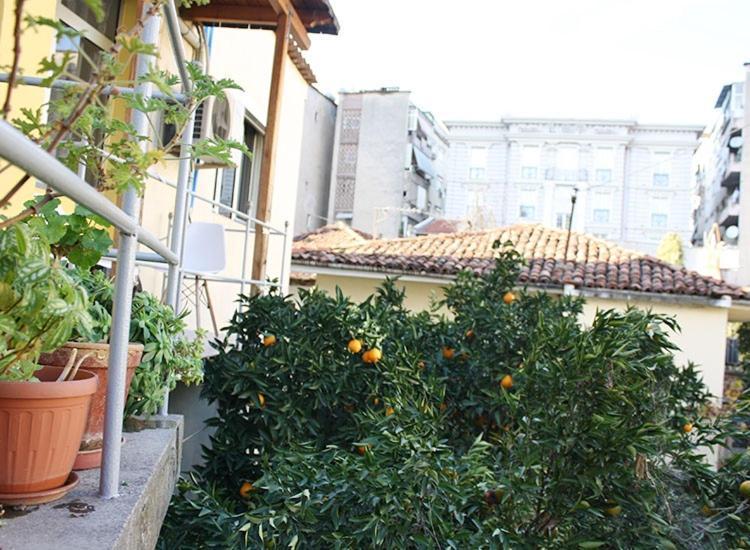 Orange Villa Hotel Tirana Eksteriør billede